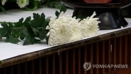 죽은 아내 금니 빼달라는 남편…죽음·이별의 풍경들