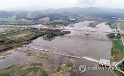 세종보 개방, 모래 보이는 금강 바닥
