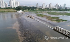 세종보 개방, 모래 보이는 금강 바닥