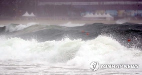 태풍 부산으로 거친 파도