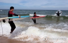 서핑 명소로 부상한 강릉 금진해변