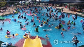 여름이다! 곰나루 수영장 가자