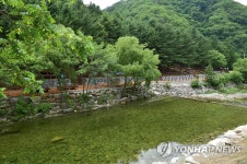 횡성 병지방계곡에 선바위자연캠핑장 6일 임시 개장