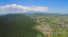 반가워, 파아란 제주 하늘