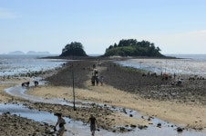 조개잡이 해볼까 해남 대죽·구성리 조개체험장 개장