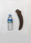 백두대간수목원, 세상에서 가장 큰 씨앗 코코 드 메르 전시
