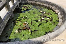 창건설화 간직한 통도사 구룡지