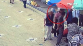 [현장] 실수로 맹독성 복어 판 생선장수…한밤중 복어 찾기 대소동