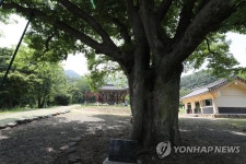 충북 진천의 정송강사