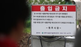 [르포] 한 달만 기다리면 수확인데…화상병에 폐허된 사과농장