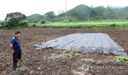 화상병에게 빼앗긴 사과농장