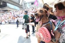 개 도살하지마세요