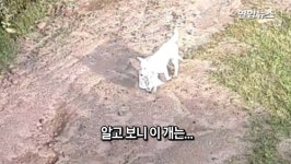 [현장] 절도범 좇던 경찰, CCTV 보더니 헐!