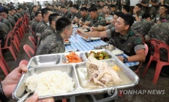 복날에는 삼계탕이 최고