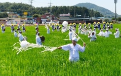 광주 서구, 서창 세동마을 만드리 풍년제 26일 개최