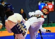 제주서 열린 세계 태권도 축제