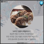 [카드뉴스] 오늘 내가 먹은 건 모밀국수일까, 메밀국수일까
