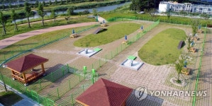 남원 애견 놀이터 개장