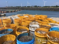 제주 해상 가두리양식장 넙치 4만5천마리 폐사…수온 28도