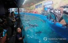 나도 같이 수영할래