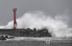 태풍 종다리 日열도 횡단…항구에 몰아치는 파도