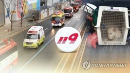 문 고쳐주세요 사소한 민원 탓 119 화재현장 출동 차질