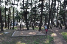 태안 몽산포야영장에서 3∼5일 한여름 밤 음악여행