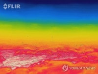 홍천 40.3도 사상 최악 폭염…서울도 38.8도 역대 최고(종합)