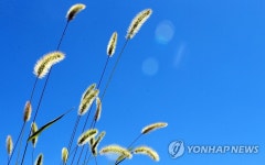산들바람이 그리운 오후