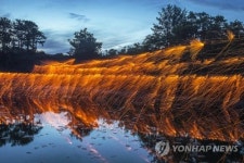 무주군 두문마을서 3∼4일 전통 낙화놀이 축제