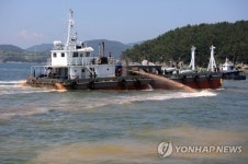 고수온에 적조, 해파리까지…폭염에 지친 어민들 삼중고