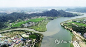 영산강으로 흘러드는 녹조
