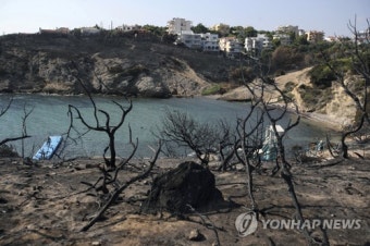 그리스 산불참사 사망자 수 혼선…당국 