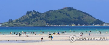 제주 금릉의 여름