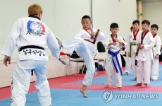 쿵후보다 태권도