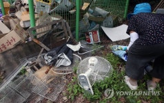 피서객이 계곡에 버린 선풍기…실종된 양심