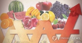 봄 저온·여름 폭염 연타 맞은 과일값 줄줄이 상승
