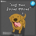 [카드뉴스] 우리집 강아지, 물건인가요 생명인가요