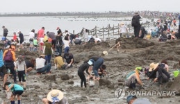 [주말 N 여행] 충청권: 보령 무창포 모세의 기적…신비의 바닷길 1.5㎞ 활짝