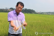 홍성 서부·결성면 농민들 매년 가뭄 되풀이