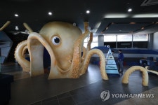 무안생태갯벌과학관