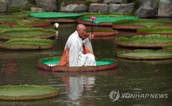 연 잎에 앉은 스님