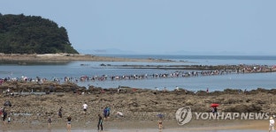 무창포 갈라진 바닷길에 들어가는 관광객들
