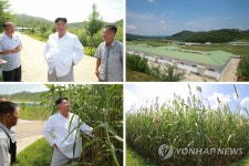 북 김정은 위원장, 평남 운곡지구종합목장 시찰