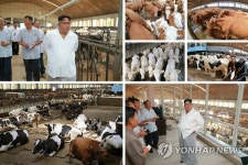 북 김정은 위원장, 평남 운곡지구종합목장 시찰