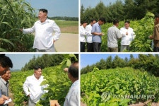 북 김정은 위원장, 평남 운곡지구종합목장 시찰