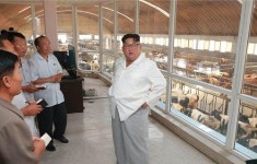 中 관변학자 한국, 한반도 비핵화 문제에 자율성 보여야