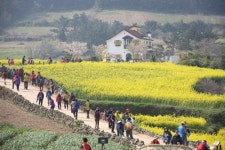 슬로시티 10년 완도 청산도 8경 사진 공모
