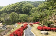 음성 백야목재문화체험장·수목원 28일 개장