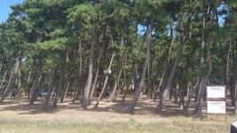 태안 몽산포 야영장 불법영업 솜방망이 처벌에 매년 되풀이